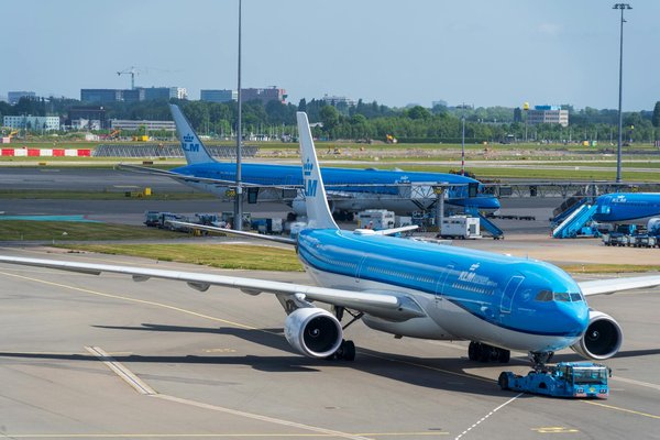 Quels sont les meilleurs spots pour l'observation des oiseaux dans les Everglades, Floride ?